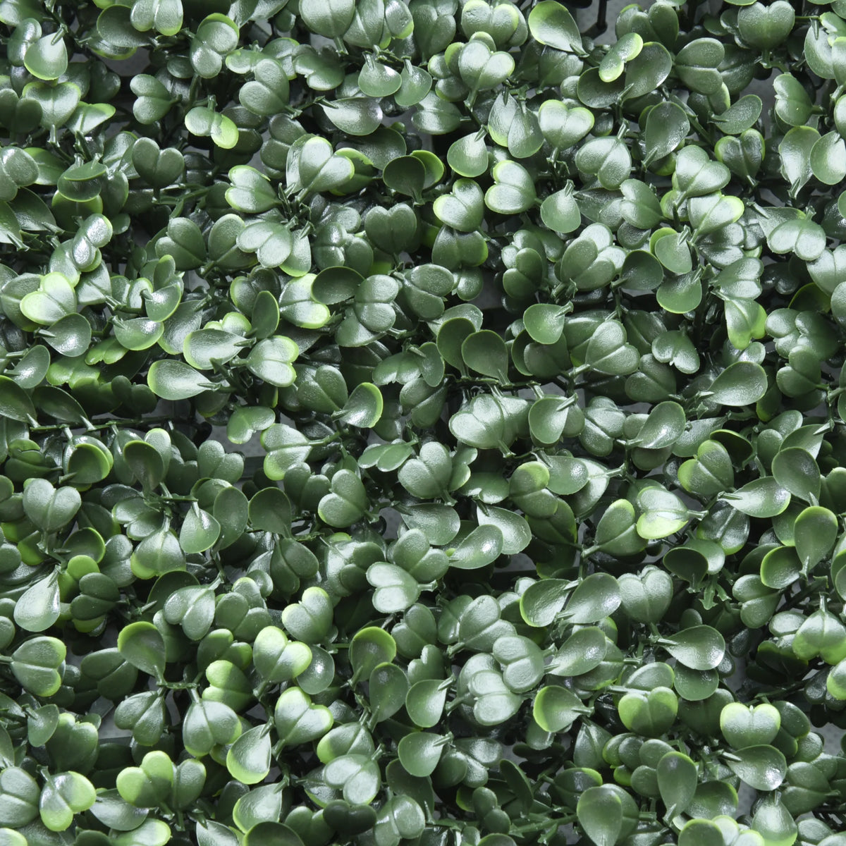 Grüne Blätter der Pflanzenmatte LEAFLUXE 1 von hjh LIVING