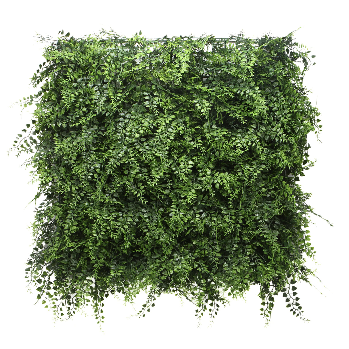 LEAFLUXE 2 - Pflanzenmatte