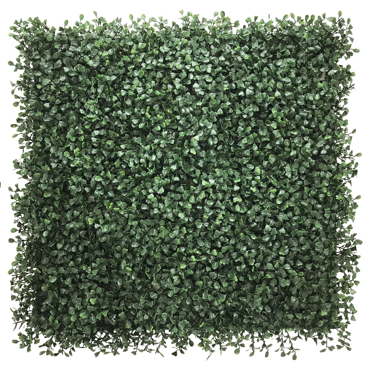 LEAFLUXE 1 - Pflanzenmatte