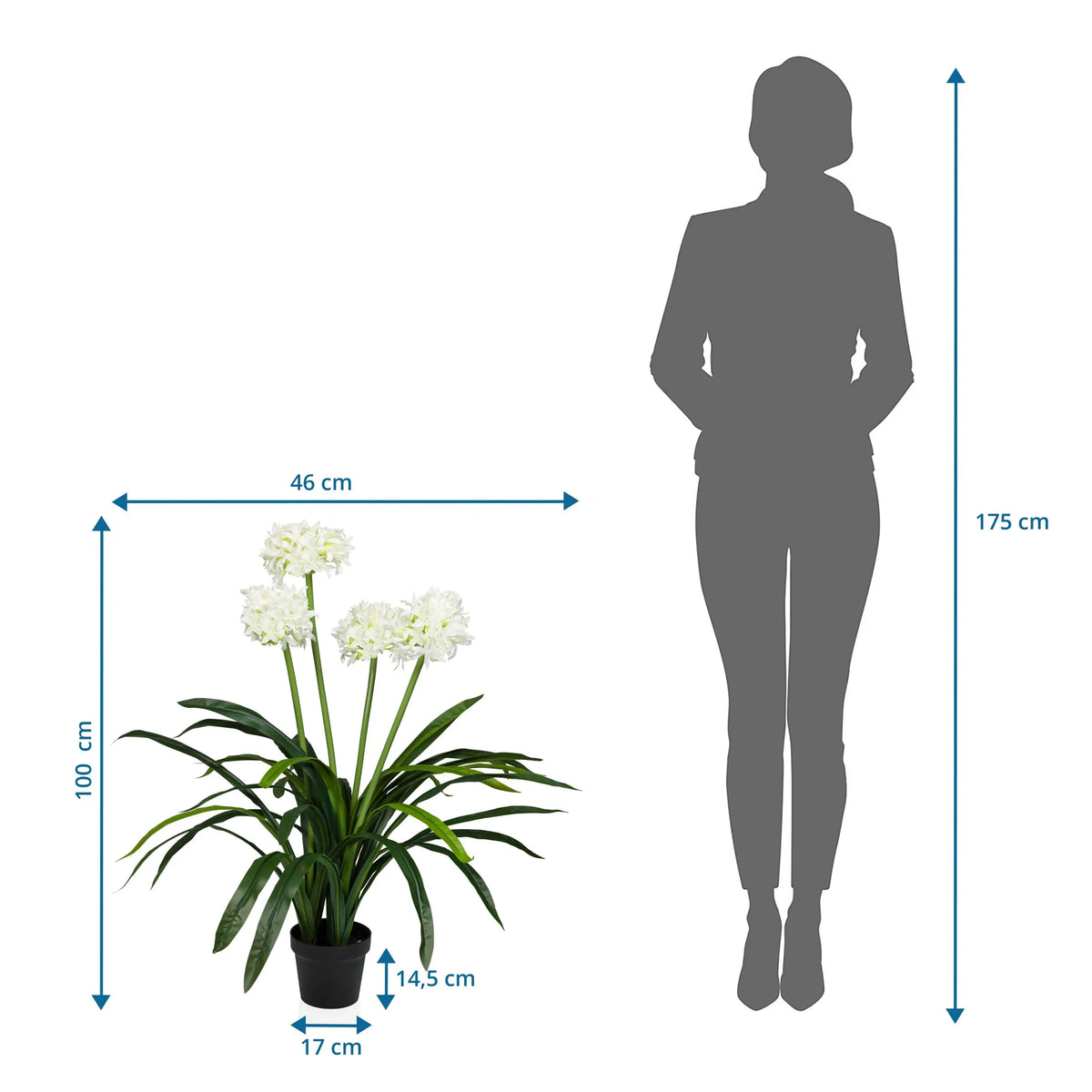 Maßzeichnung der Kunstpflanze AGAPANTHUS mit einer Höhe von 100 cm und Breite von 46 cm von hjh OFFICE