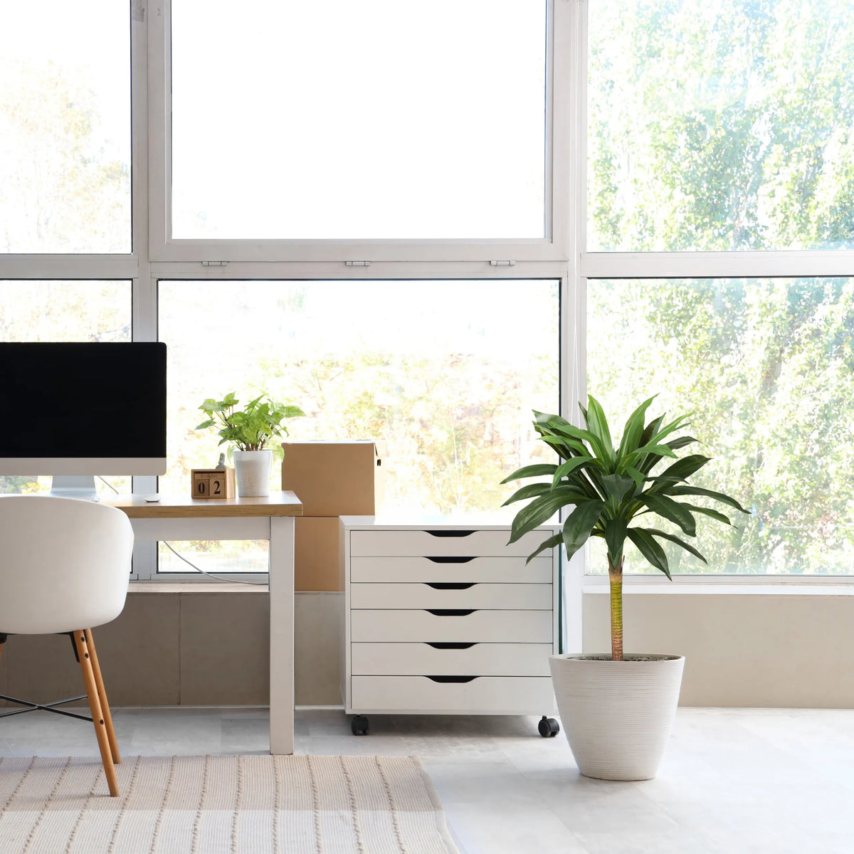 Kunstpflanze DRACAENA I in Grün mit einem weißen Übertopf in einem hellen Raum von hjh OFFICE