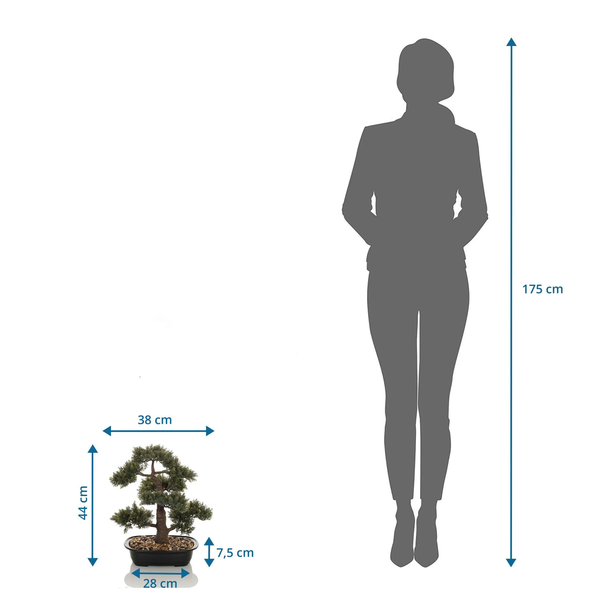 Maßansicht der Kunstpflanze BONSAI mit einer Höhe von 44 cm im Vergleich zu einer Person von hjh OFFICE
