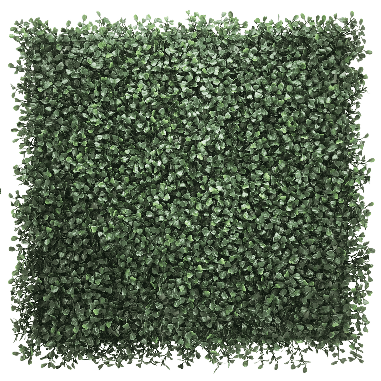 LEAFLUXE 1 - Pflanzenmatte