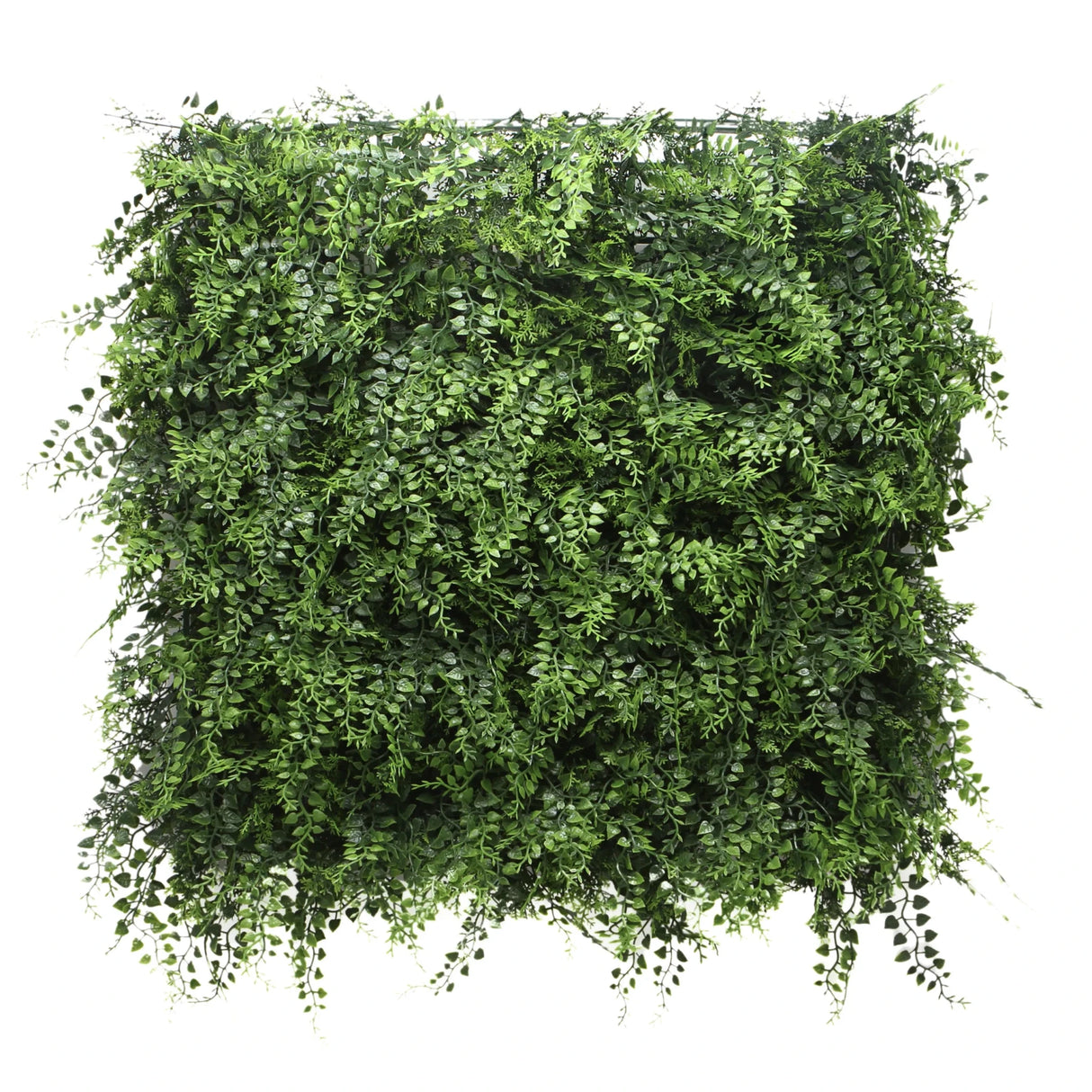 LEAFLUXE 2 - Pflanzenmatte