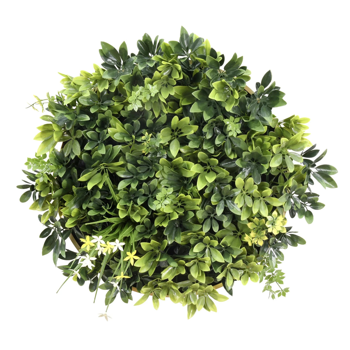 LEAFLUXE WALL 2 - Pflanzenmatte