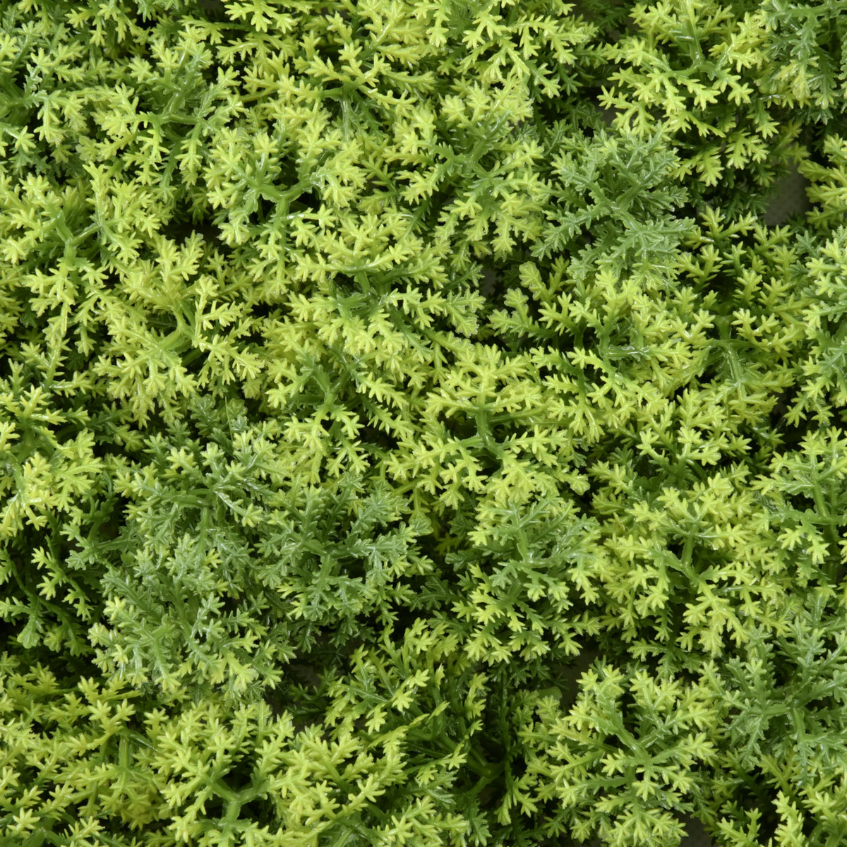 Grüne Textur der Pflanzenmatte LEAFLUXE 3 von hjh LIVING