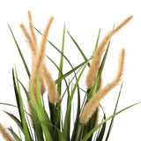 Beige-grüne Gräser der Kunstpflanze CORTADERIA I mit flauschigen Blütenständen von hjh OFFICE