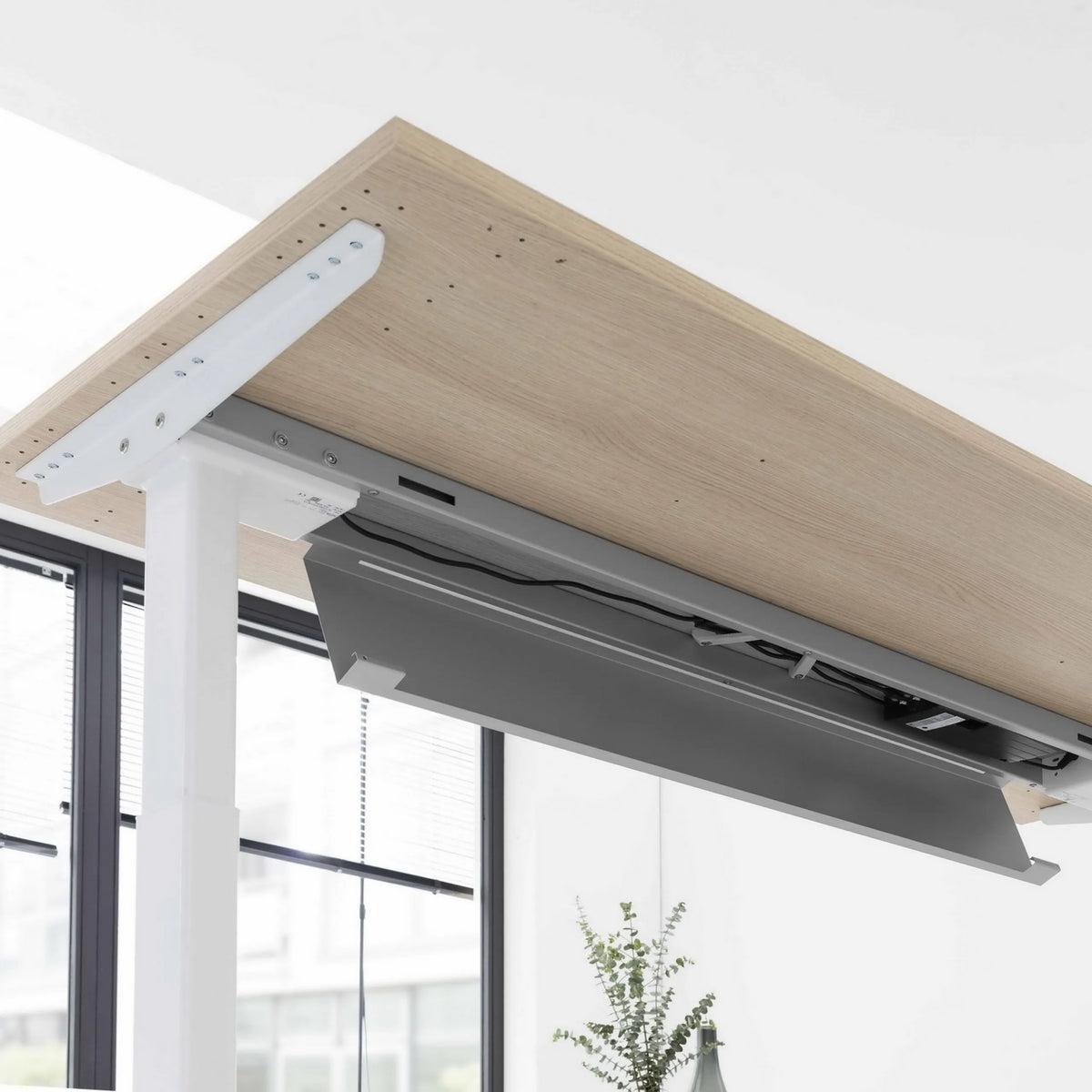 Unterkonstruktion und Tischplatte in Asteiche des elektrisch höhenverstellbaren Schreibtischs XBHM 12 GG von hjh OFFICE PRO