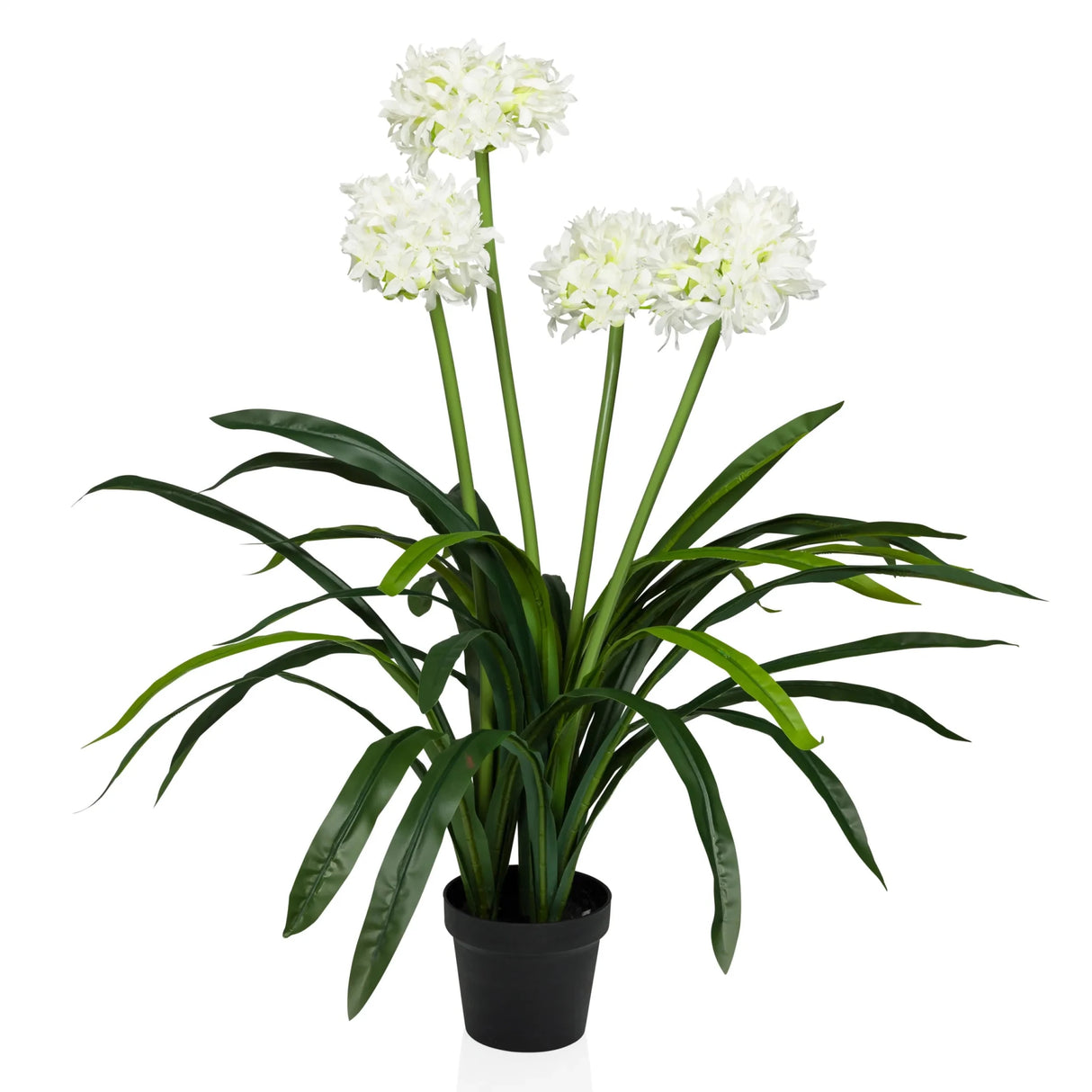 AGAPANTHUS - Kunstpflanze