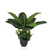 DIEFFENBACHIA - Kunstpflanze