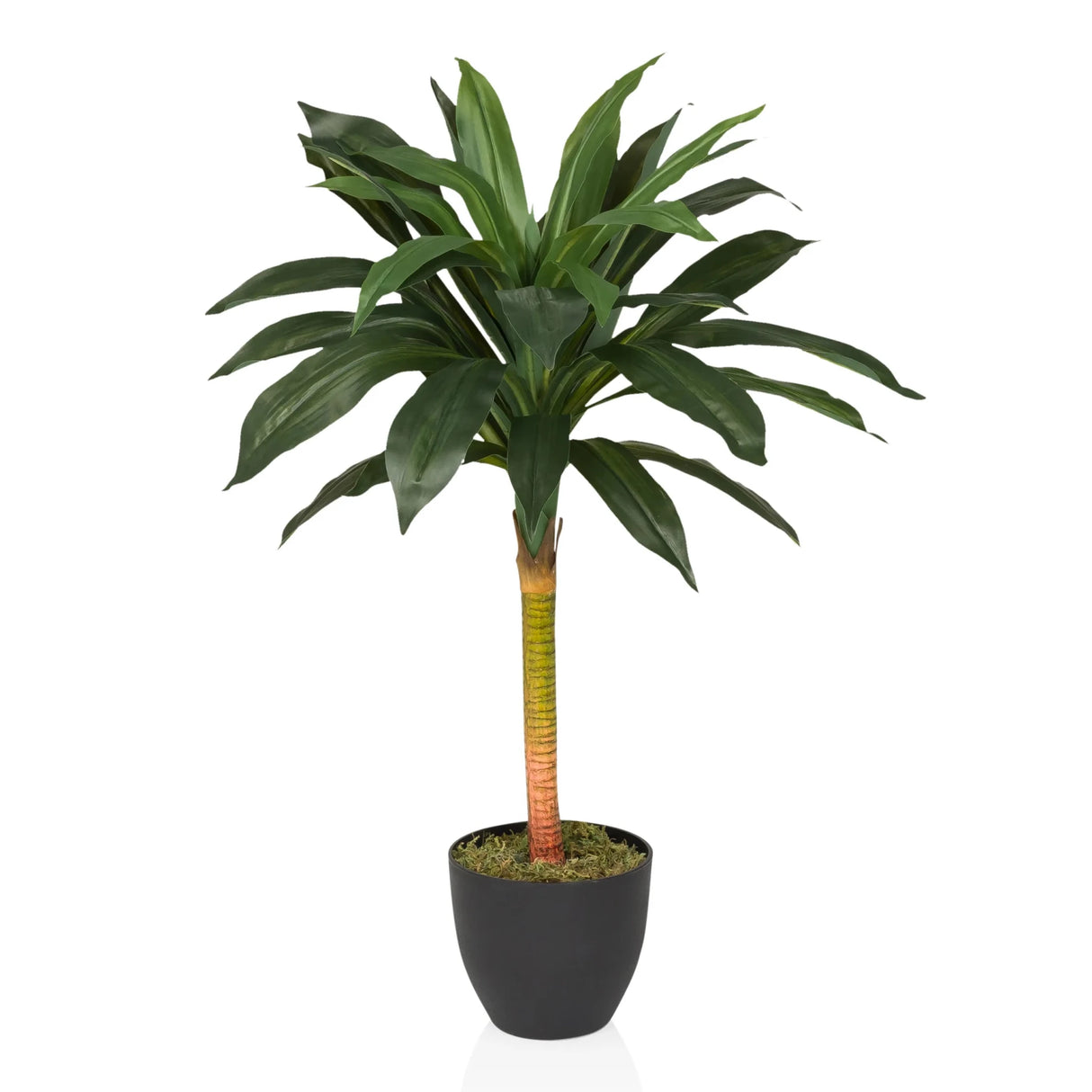 DRACAENA I - Kunstpflanze
