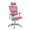 ERGOHUMAN SLIM G GEN2 | Netz - Luxus Chefsessel