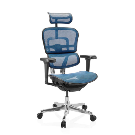 ERGOHUMAN ULTRA GEN2 | Netz - Luxus Chefsessel - buerostuhl24