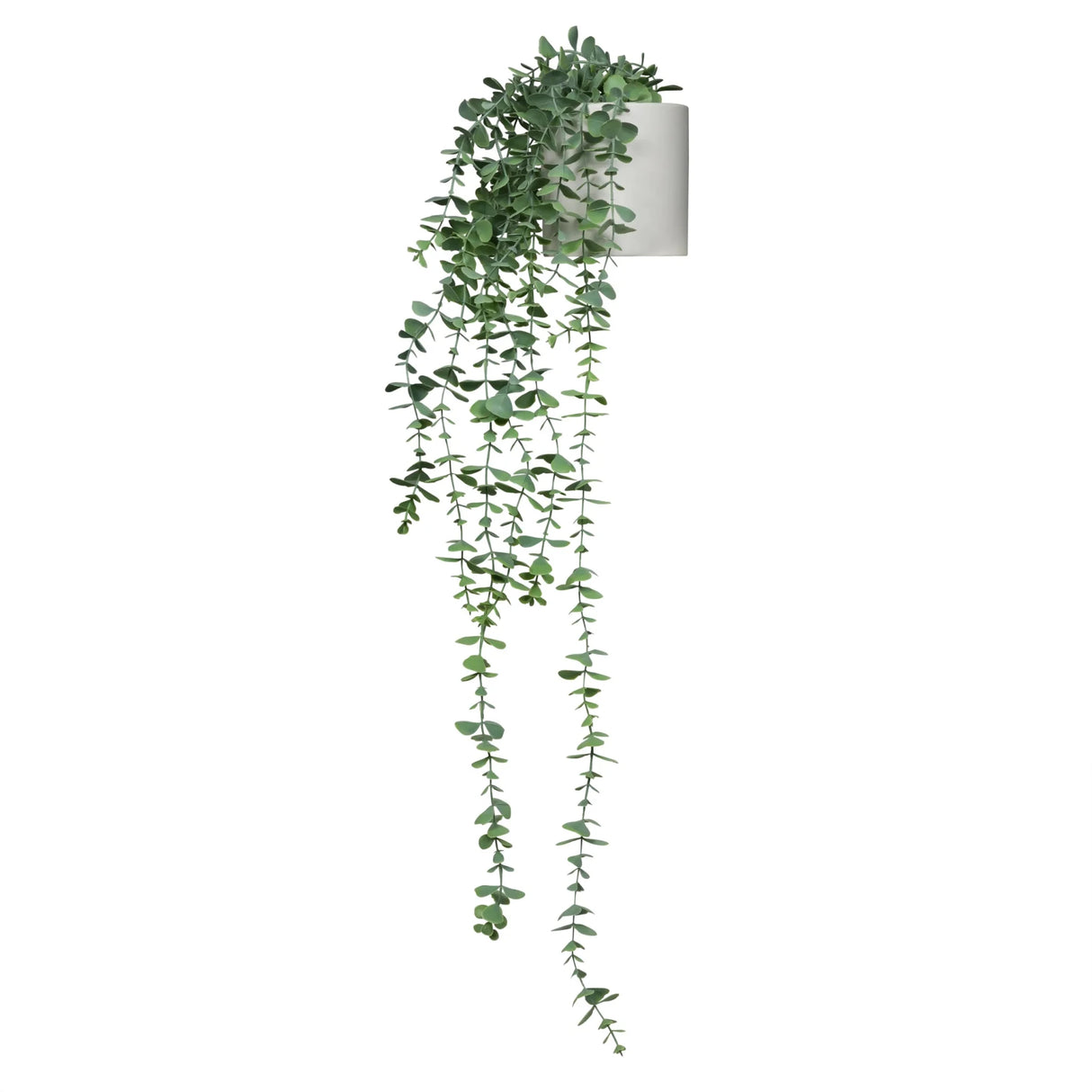 EUCALYPTUS CLIMB - Kunstpflanze