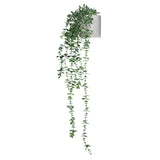 EUCALYPTUS CLIMB - Kunstpflanze