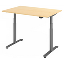 XDLR 12 G | 120x80 | Schreibtisch elektrisch höhenverstellbar