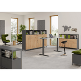 Seitenschrank der Serie FlexWall mit Korpus in Graphit und Fronten in Holzoptik von hjh OFFICE PRO