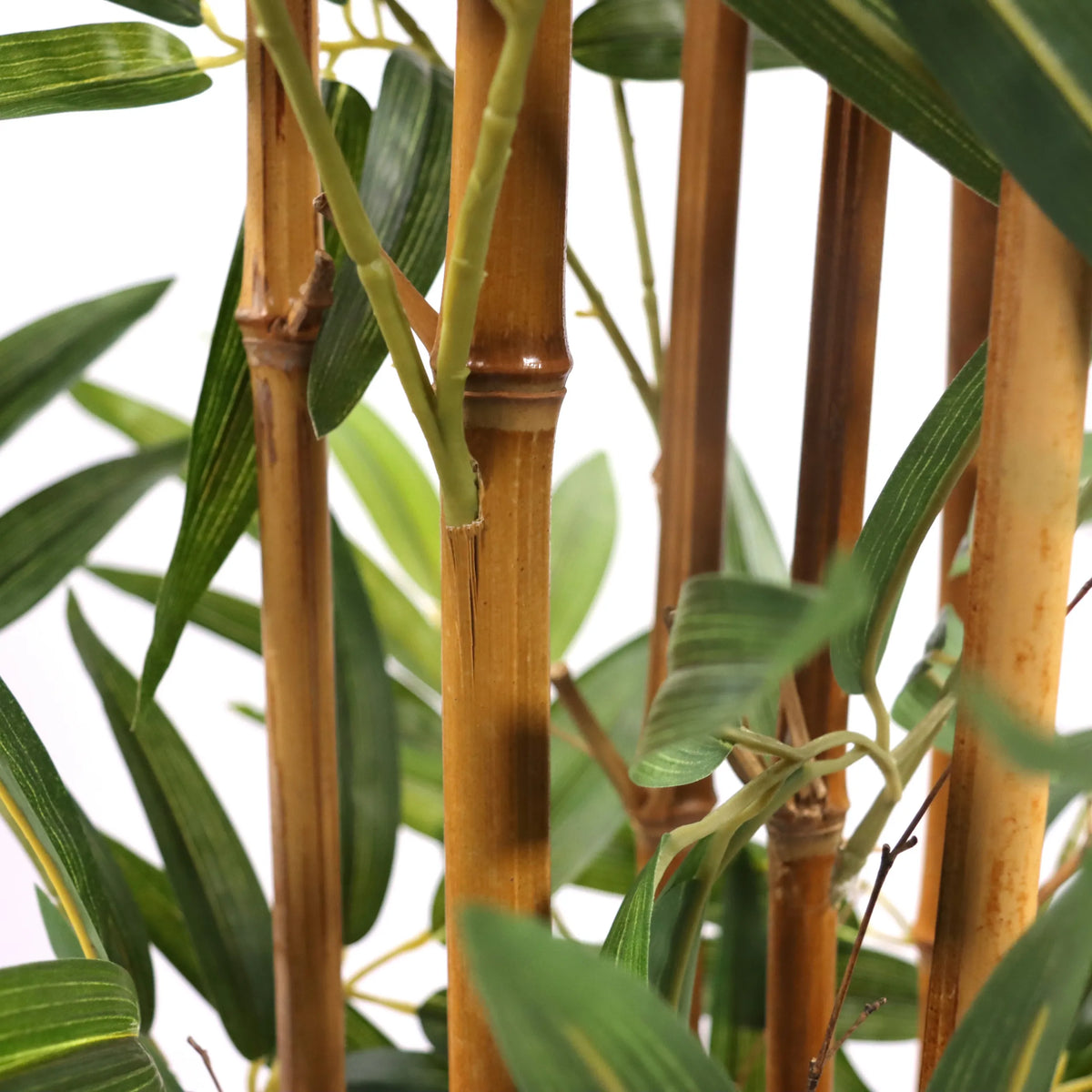 Stiele und grüne Blätter der Kunstpflanze BAMBUS II von hjh OFFICE