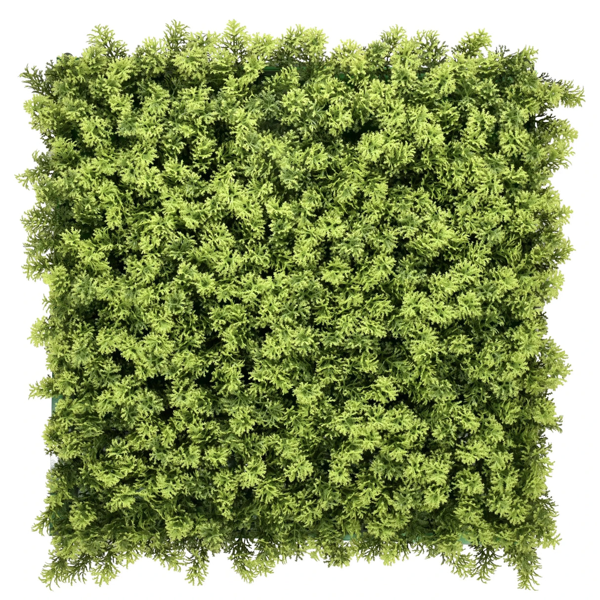 LEAFLUXE 3 - Pflanzenmatte