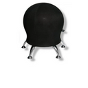 SITNESS 5 - Sitzball