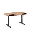 Worktime Style | 120x60 - Elektrisch höhenverstellbarer Schreibtisch