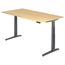 XBHM 2E GG | 200x100 | Schreibtisch elektrisch höhenverstellbar - buerostuhl24
