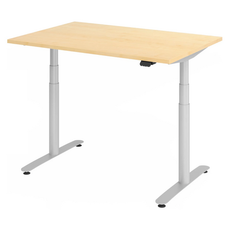 XDLR 12 S | 120x80 | Schreibtisch elektrisch höhenverstellbar - buerostuhl24