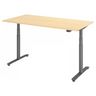XDLR 16 G | 160x80 | Schreibtisch elektrisch höhenverstellbar - buerostuhl24