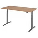 XDLR 16 G | 160x80 | Schreibtisch elektrisch höhenverstellbar