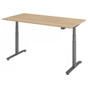 XDLR 16 G | 160x80 | Schreibtisch elektrisch höhenverstellbar
