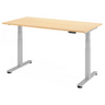 XDSM 16 S | 160x80 | Schreibtisch elektrisch höhenverstellbar - buerostuhl24