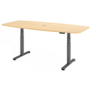 XDSM 22 G | 220x103 | Schreibtisch elektrisch höhenverstellbar