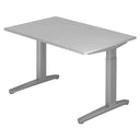 XTRA XB 12 SS | 120x80 | Schreibtisch höhenverstellbar