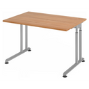 ZENO 12 S | Schreibtisch