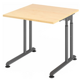 ZENO 8 G | 80x80 | Schreibtisch